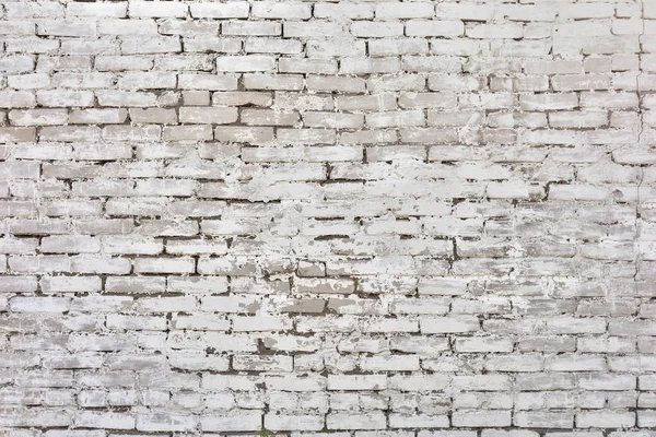 Mur en brique blanche — Photo