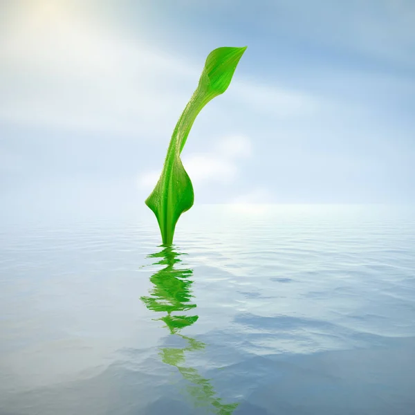 Πράσινο Φύλλο Σταγονίδια Που Αντανακλούν Στο Νερό — Φωτογραφία Αρχείου