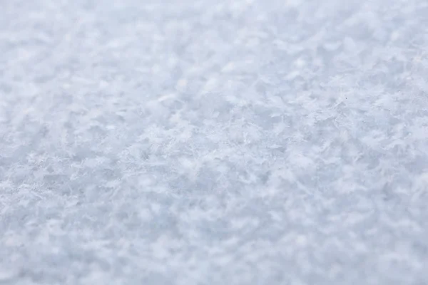 白色雪背景 关闭视图 — 图库照片