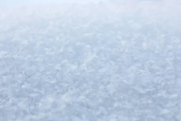 白色雪背景 关闭视图 — 图库照片