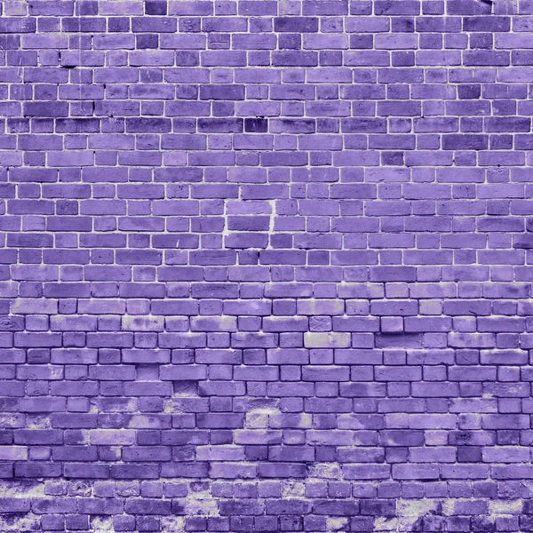 Old Shabby Ultraviolet Brick Wall — Stock Photo, Image