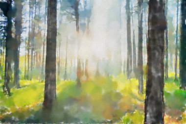 suluboya renkli illüstrasyon