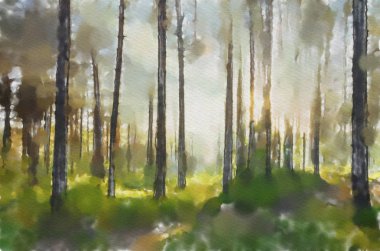 suluboya renkli illüstrasyon