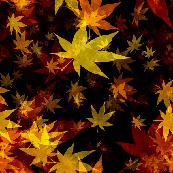 Autumn leaves — Stock Photo, Image