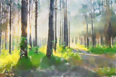 suluboya renkli illüstrasyon