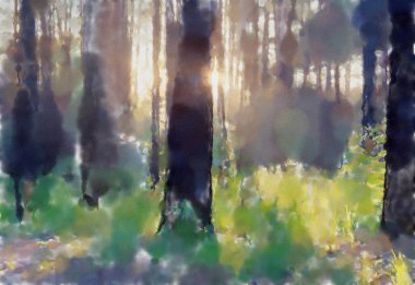 suluboya renkli illüstrasyon