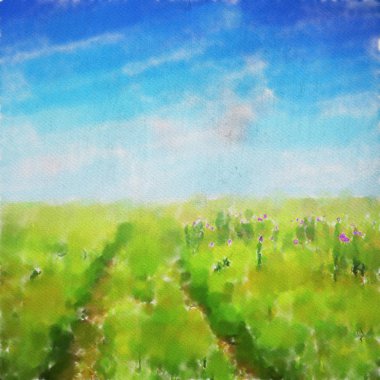 suluboya renkli illüstrasyon