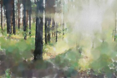 suluboya renkli çizimler, güneş ormanı