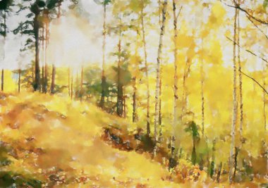 suluboya renkli çizimler, güneş ormanı