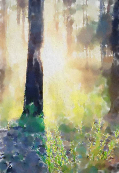 水彩画 超级森林 — 图库照片