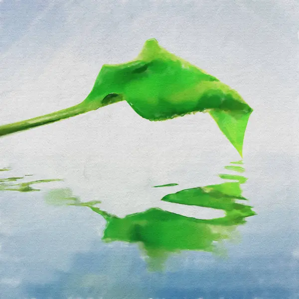 Akvarell Färgglada Illustration Grönt Löv Med Reflektion — Stockfoto