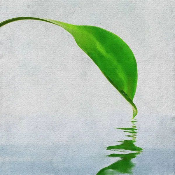 Акварель Красочная Иллюстрация Зеленый Лист Отражением — стоковое фото