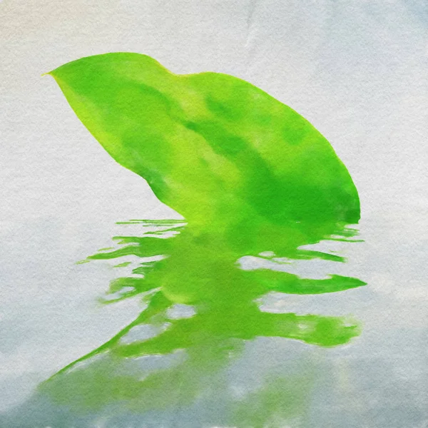 Aquarel Kleurrijke Illustratie Groen Blad Met Reflectie — Stockfoto