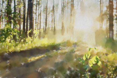 suluboya renkli çizimler, güneş ormanı