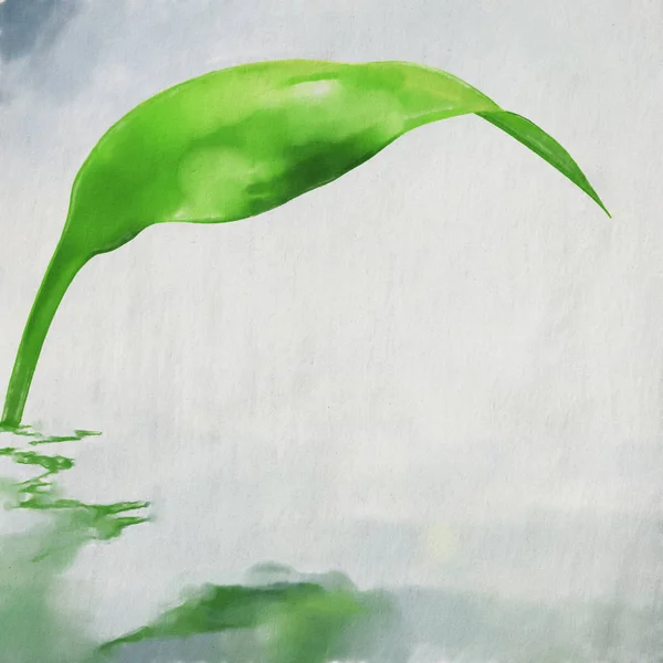 Акварель Красочная Иллюстрация Зеленый Лист Отражением — стоковое фото