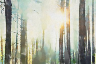 suluboya renkli illüstrasyon