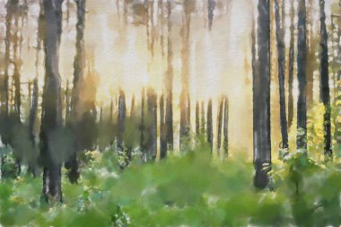 suluboya renkli illüstrasyon