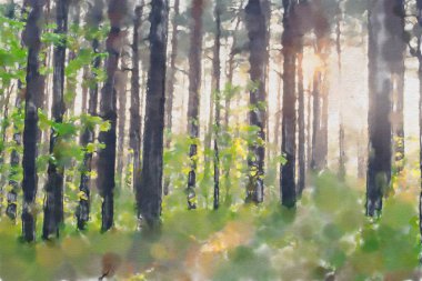 suluboya renkli illüstrasyon