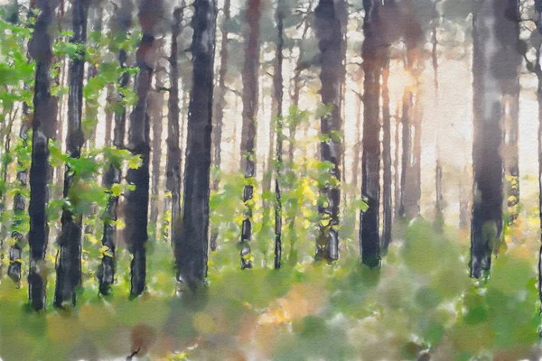 suluboya renkli illüstrasyon