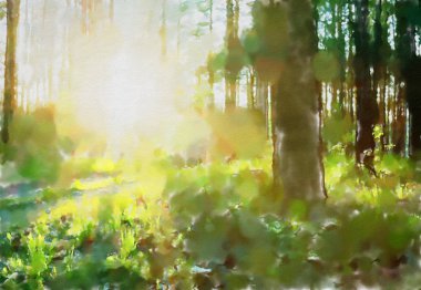 suluboya renkli illüstrasyon