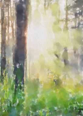 suluboya renkli illüstrasyon