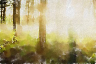 suluboya renkli illüstrasyon