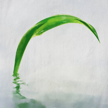 suluboya renkli illüstrasyon