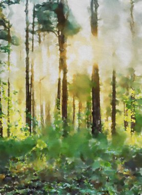 suluboya renkli illüstrasyon