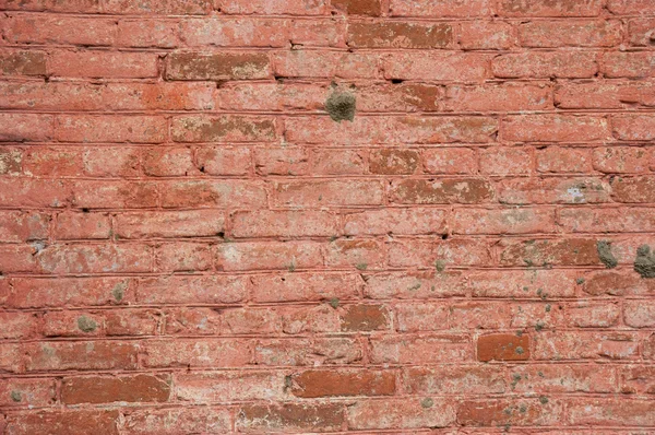 Parede de tijolo velho — Fotografia de Stock