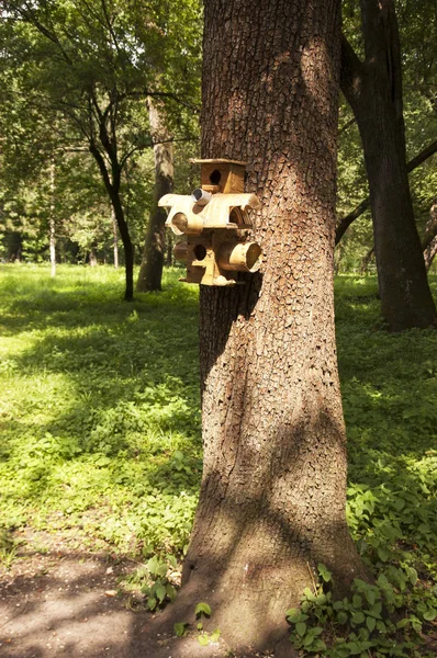 Feeder with a lodge for birds — Stock Photo, Image