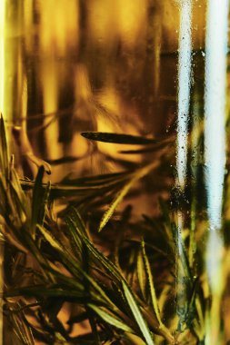 Biberiye bitki çayı