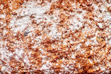 Pasta üstüne pudra şekeri