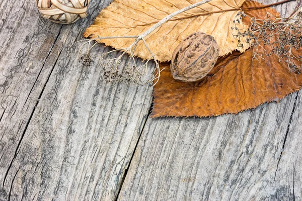 dry plants, withered fall leaves and nuts on rustic wooden background