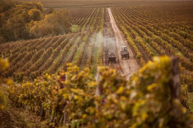 Tarih alan üzüm işleme makinaları