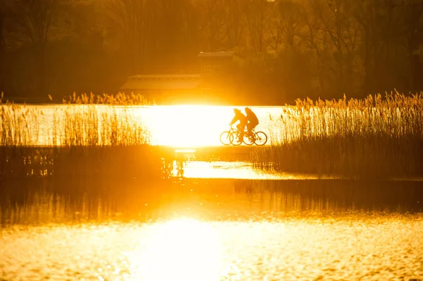 桥上骑自行车的人的剪影 — 图库照片