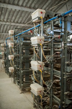 Tavuk yetiştiriciliği tesisi