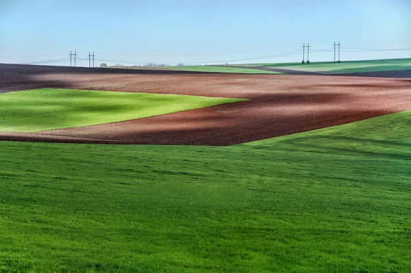 Bonito campo verde paisagem de verão — Fotografia de Stock