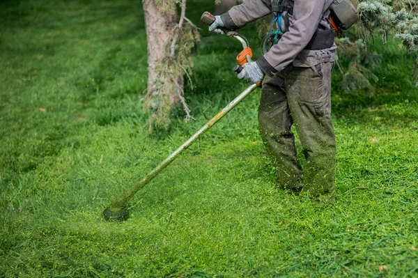 Trabalhadores cortar a grama — Fotografia de Stock