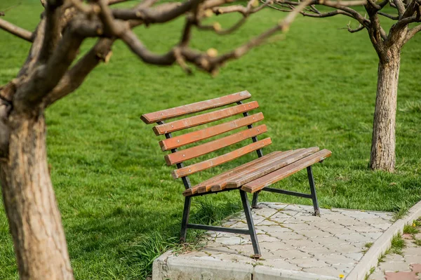 Banc dans le parc — Photo