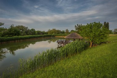 Güzel bir göl ve üzerine bir gazebo