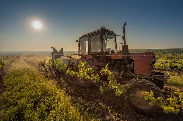 Рабочие машины на виноградном поле — стоковое фото