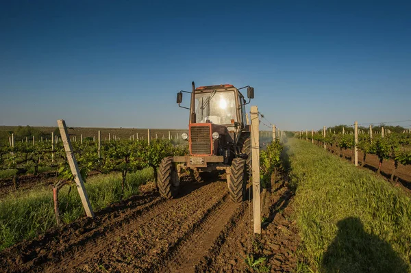 Máquinas de trabajar en el campo de uva — Foto de Stock