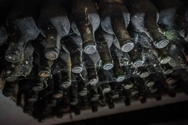 Vecchie bottiglie di vino in una ragnatela in cantina — Foto Stock