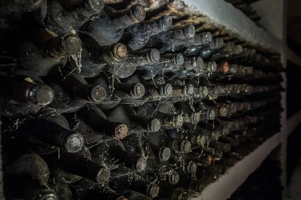 Garrafas de vinho velho em uma teia de aranha na adega — Fotografia de Stock