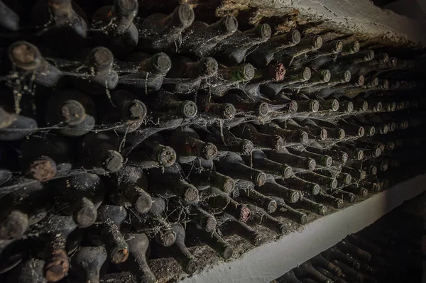 Vecchie bottiglie di vino in una ragnatela in cantina — Foto Stock