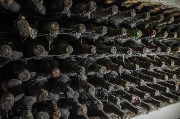 Viejas botellas de vino en una telaraña en la bodega — Foto de Stock
