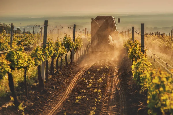 A szőlő mező gépek — Stock Fotó