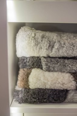 odasında kürk halı