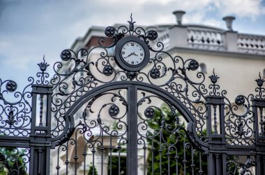 büyük bir kapı demir dövme 