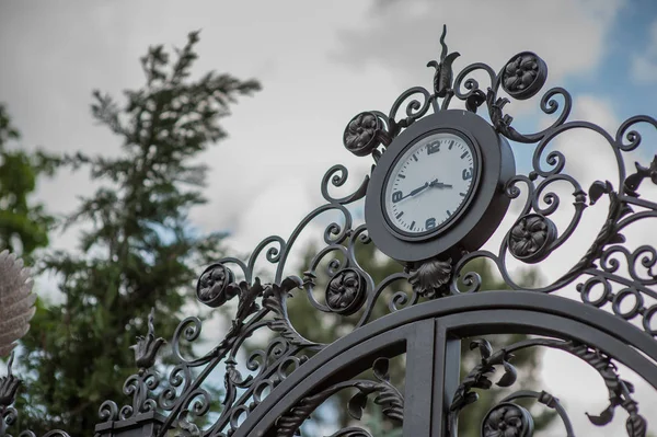 Iron forged large gate — Stock Photo, Image